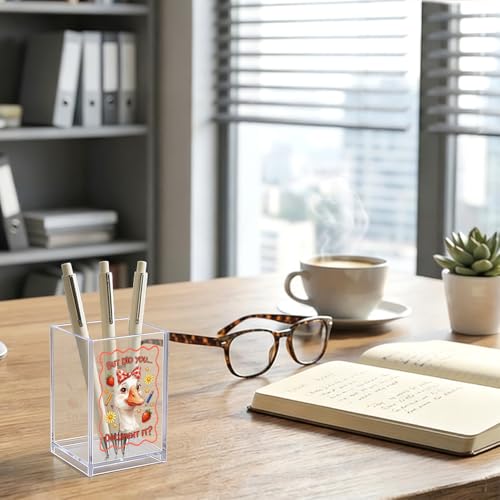 But Did You Document It Acrylic Organizer Pencil Pen Holder, Cute Strawberry Goose Desk Organizer, Teacher Appreciation Back to School Gifts for Principal Assistant Mentor Tutor Coworker - color: Clear 6