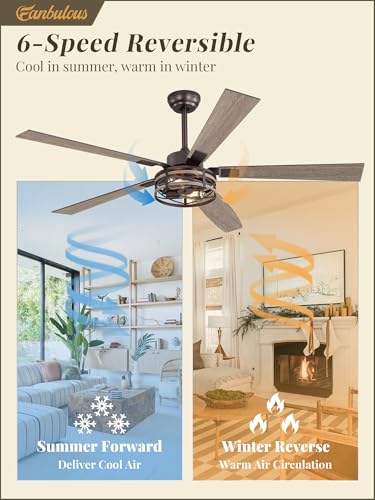 Fanbulous Ceiling Fan with Light & Remote, 60" Farmhouse Caged, DC Motor - color: Oil Bronze, size: 60 Inch