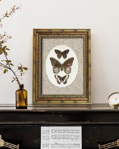 Vodefoad Vintage Butterfly Gold Framed Wall Art, Retro Neutral Butterfly Canvas Art Prints Painting, Bedroom Bathroom Shelf Retro Butterfies Illustration Room Decor, Antique Moth Insect Wall Art Picture, Farmhouse Framed Wall Decor butterfies Drawing for