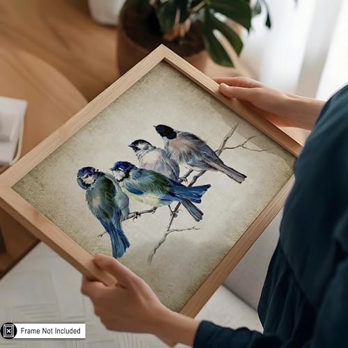 Poster Master Blue Birds On Branch Poster - Bird Print - Watercolor Art - Minimal Art - Gift for Men, Women & Animal Lover - Aesthetic Decor for Living Room or Kid's Room - 8x10 UNFRAMED Wall Art - color: Style-13, size: 8"L x 10"W