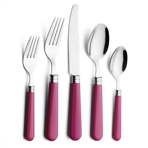 ANNOVA Silverware Set 20 Pieces Cutlery Stainless Steel Colorful Fun Handle Flatware Service for 4 - Dinner Knife, Dinner Fork, Salad fork, Dinner Spoon, Dessert Spoon (Hot Pink, 20 Pieces) - color: Hot Pink