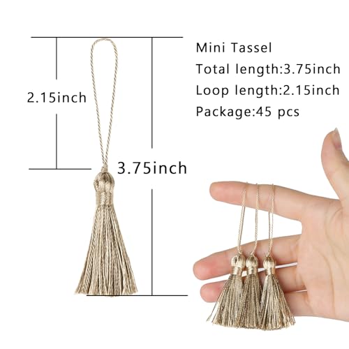BEL AVENIR 45 pcs Mini Bookmark Tassels 3.75inch Silky Key Tassel - color: Mix Beige