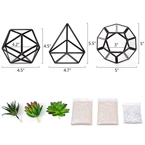 Mkono 3 Pack Fake Succulent in Geometric Glass Terrarium Black Office Decor - color: Black