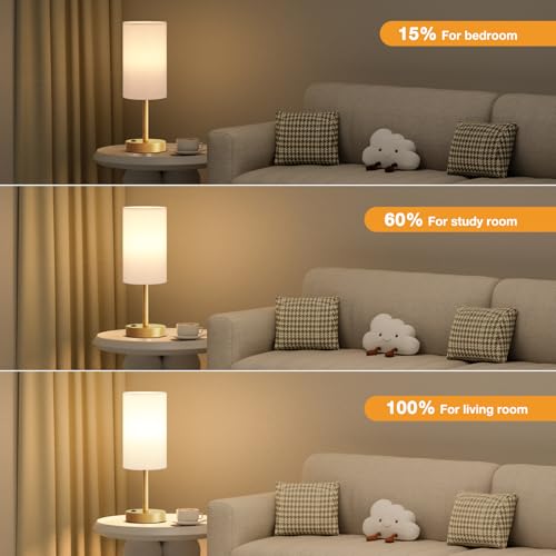 Fenmzee 17.4" Gold Lamp for Bedroom - Dimmable Touch, USB A+C, AC Outlet - color: White - Gold, size: 17.4"