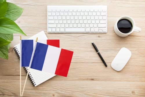 25Pack Small France Flag Handheld Mini French Flag on Stick 5x8 Inch - color: France