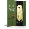 Ghost Cat Diamond Art Kits for Adults, Diamond Painting Kits for Beginner - color: JOJO-DP116