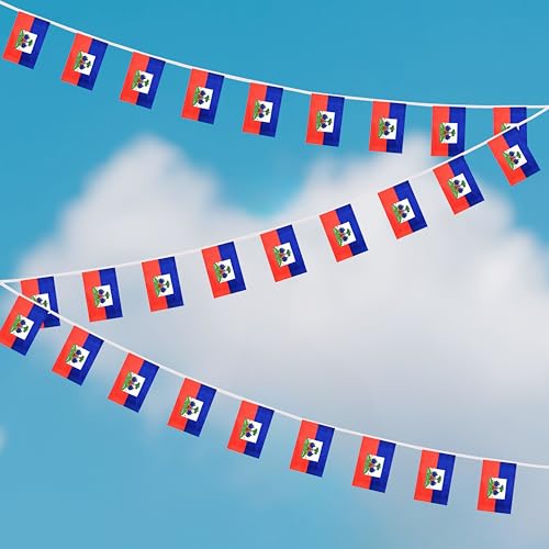 100 Feet Haiti String Flag, 76 Pcs Haitian Banner Flag, Small Mini World Banner Flags for Sports Events, Bars Decorations, School Festivals, Party Decorations, Celebrations (Haiti) - color: Haiti