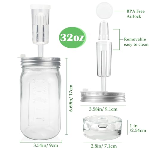 32 oz Mason Jar Fermentation Kit, 2 Pack Fermentation Jars, Fermentation Lids, Fermenting Weights and Airlocks, Complete Fermenting Kit for Making and Storing Sauerkraut（Pack of 2）