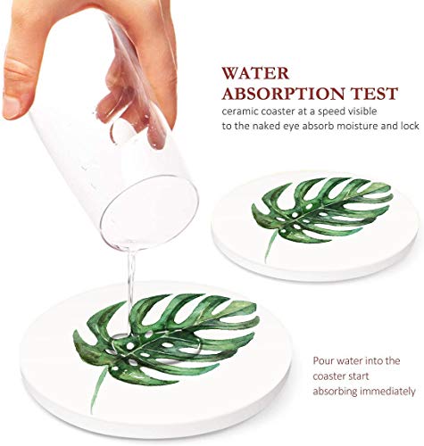 Britimes Coasters for Drinks, Set of 6, Ceramic Stone, Green Leaves - color: Green Leaves