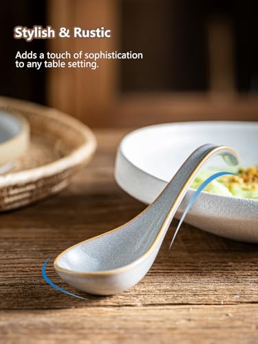Gomakren Ceramic Chinese Soup Spoon Set of 6, Ramen Spoons 6.5in, Gray - color: Gray