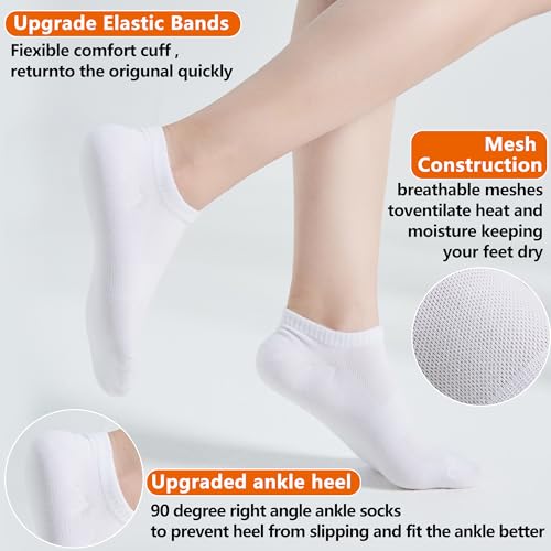 ATBITER 12 Pairs Ankle Socks Womens/Men Thin Low Cut No Show Athletic Socks - color: 12 Pairs White, size: Medium