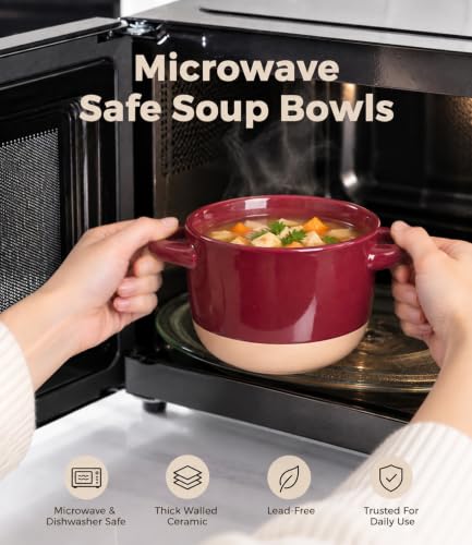 AmorArc 24 oz Soup Bowls with Lids, Ceramic Soup Containers with Handle - color: Blue&Red, size: Set of 2
