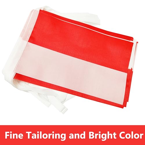 100 Feet Indonesia String Flag, 76 Pcs Indonesian Banner Flag, Small Mini World Banner Flags for Sports Events, Bars Decorations, School Festivals, Party Decorations, Celebrations (Indonesia) - color: Indonesia