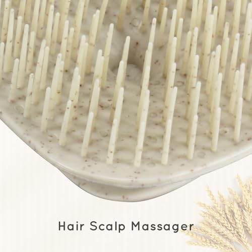 ecoed Scalp Massager Shampoo Brush, Scalp Scrubber & Exfoliator (Natural) - color: Grey, size: 1PC