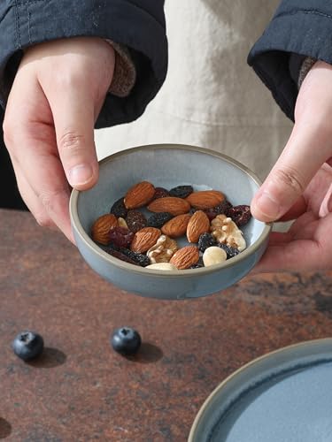 famiware Ceramic Soy Sauce Dish, 3oz Dipping Bowls Set of 6, Light Blue - color: Light Blue, style: Nature