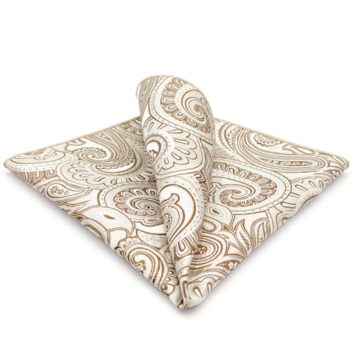 S&W SHLAX&WING Mens Pocket Square Paisley Multicolor Large for Business Wedding - color: Ah6