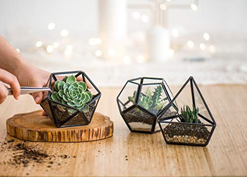 Mkono 3 Pack Fake Succulent in Geometric Glass Terrarium Black Office Decor - color: Black