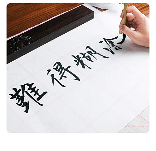 MEGREZ Raw Xuan Rice Paper Chinese Japanese Sumi Calligraphy Painting Sheet - size: 34 x 34 cm (13.4 x 13.4 inch)