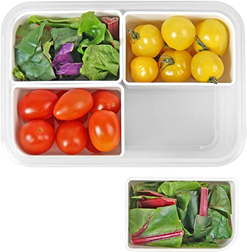 carrotez 4 Compartment Food Container - 4.6 Cup (1100ml) - color: White, size: 4 Compartment (4.6 Cup)