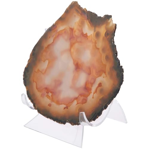Plymor Clear Acrylic Double-Scoop Display Easel, 4.875" H x 4.75" W x 4" D - size: 4.875" x 4.75" x 4"