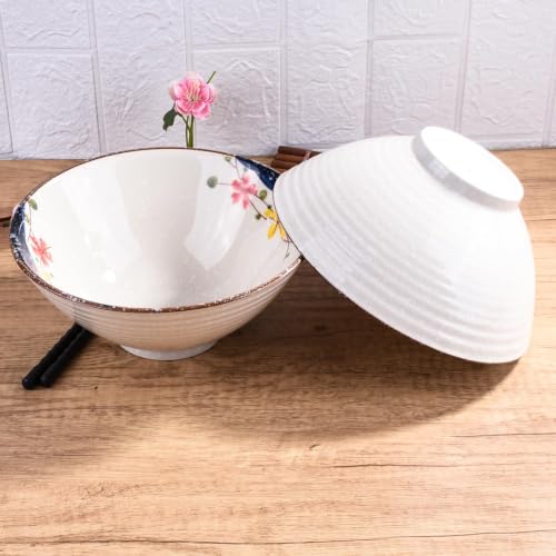 Japanese Ceramic Ramen Bowl Set Set of 2, 8.2 Inch Porcelain Noodle Bowls - color: QC