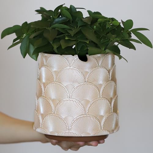 GUGUGO Pearl Beige Scale Planter, Cute Unique Plant Pot with Drainage, Eclectic Colorful Small Flower Planters Pots for Indoor & Outdoor Plants, Rainbow Funny Succulent Gardening Pot Gifts - color: C, size: 5in