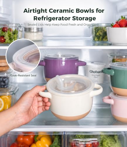 AmorArc 24 oz Soup Bowls with Lids, Ceramic Soup Containers with Handle - color: Beige&Gray, size: Set of 2