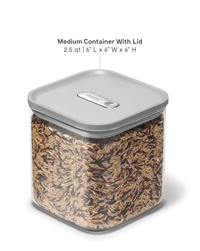 Caraway 2.5 qt Glass Airtight Food Storage Container with Lid - color: Gray, size: 2.5qt Container