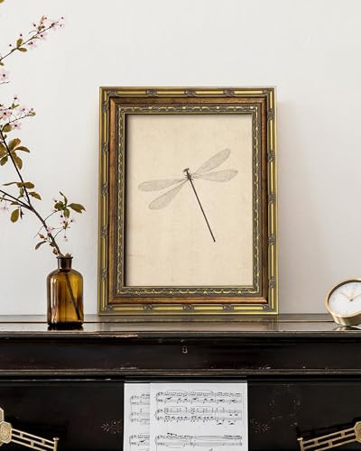 Vodefoad Vintage Dragonfly Gold Framed Wall Art, Neutral Insect Animal Wall Decor, Antique Dragonfly Drawing Canvas Oil Painting, Minimalist Animal Wall Decorations, Retro Artwork Pictures for Gallery Bedroom Living Room Decor - 9x12Inch - color: Dragonfl