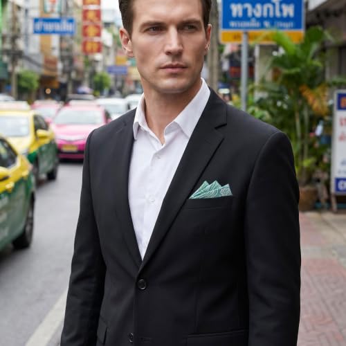 S&W SHLAX&WING Mens Pocket Square Paisley Multicolor Large for Business Wedding - color: Bh61