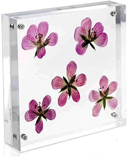 Clear Acrylic Photo Frame,Magnetic Perspex Picture Holders Table Standing Double Side Displays, 10mm+10mm Thickness Transparent,Stand In Desk &Table Frames (1, 4x4) - size: 4x4"