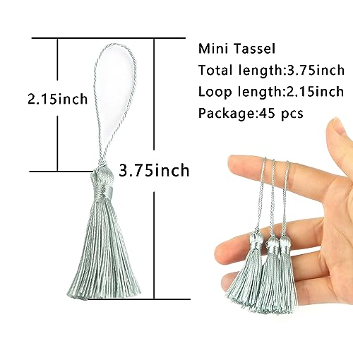 BEL AVENIR 45 pcs Mini Bookmark Tassels 3.75inch Silky Key Tassel-Silver - color: Silver