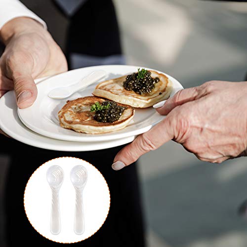 Patelai 10 Pieces Mother of Pearl Caviar Spoons Round Handle, 7cm/2.75 Inch - size: 2.75 inches