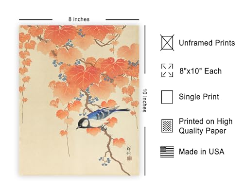 Poster Master Vintage Great Tit on Paulownia Branch Poster - Retro Bird Print - Japanese Art - Gift for Men, Women & Animal Lover - Decor for Dorm, Bedroom or Living Room - 8x10 UNFRAMED Wall Art - color: Style-12, size: 8"L x 10"W