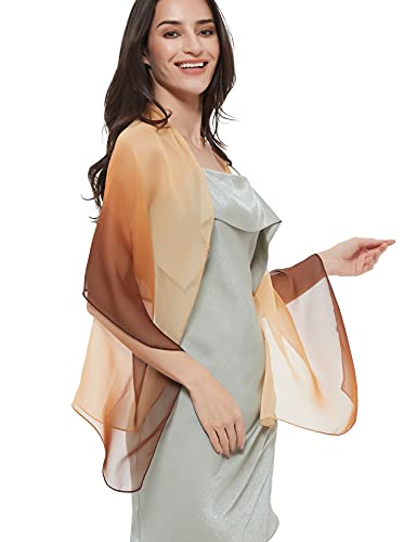 PANTONIGHT Long Chiffon Sheer Scarf Gradient Shaded Colors Lightweight Scarf For Womens - color: Color 081
