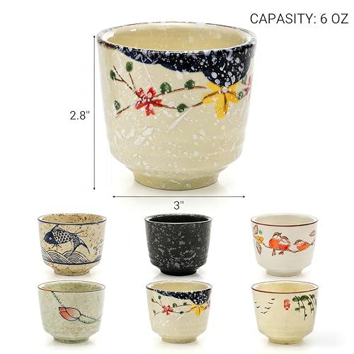 DAYUMKOU 6 Pack Japanese Tea Cup No handle for Adults