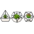 Mkono 3 Pack Fake Succulent in Geometric Glass Terrarium Black Office Decor - color: Black