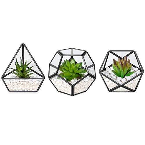 Mkono 3 Pack Fake Succulent in Geometric Glass Terrarium Black Office Decor - color: Black