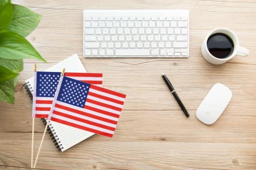 25Pack Small American Flag Mini Usa Flag On Stick Handheld Us Flag For July 4th Decoration - color: America
