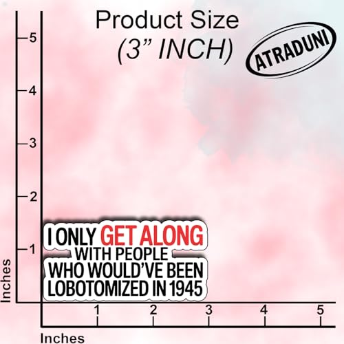 (3Pcs) I Only Get Along with People Who Would’ve Been Lobotomized in 1945 Stickers Funny Dark Humor Sarcastic Quote Gifts Waterproof Vinyl Decals Water Bottle Hard Hat Phone Laptop Size 1.4" x 3" - color: I Only Get Along With People