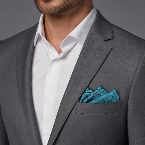 S&W SHLAX&WING Mens Pocket Square Paisley Multicolor Large for Business Wedding - color: Ah77
