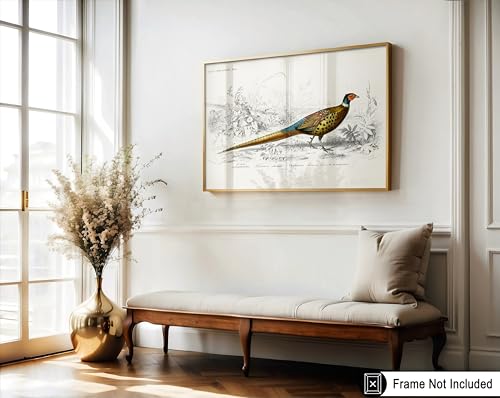 Poster Master Vintage Ring Necked Pheasant Poster - Retro Wildlife Print - Bird Wall Art - Gift for Men, Women & Animal Lover - Great Decor for Office, Bedroom or Living Room - 8x10 UNFRAMED Wall Art - color: Style-03, size: 8"L x 10"W