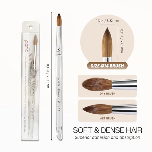 PANA Pure Kolinsky Hair Brush - Round Clear Acrylic Handle (Size 14) - Nail Brush for Acrylic Nail Application, Nail Extension, Manicure Pedicure Salon Beginner and Professional - color: Clear, size: Size 14