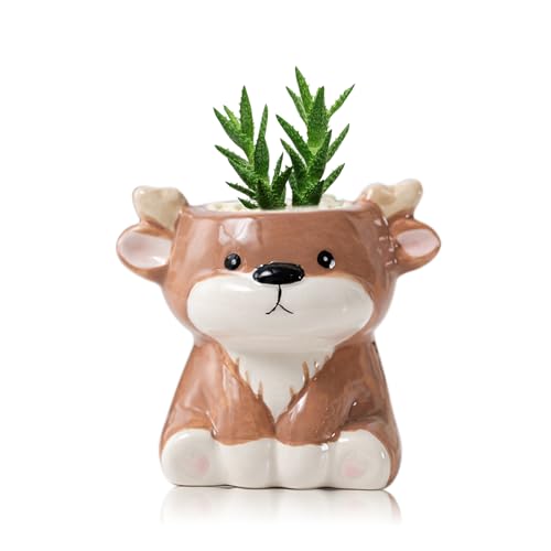 DIYOMR Cute Animals Planter, Mini Ceramic Cartoon Animal Shaped Succulent Flower Pot Indoor Air Plants Holder, Smooth Shiny Decorative Flower Cactus Planter - Plants Not Included (Deer) - color: Deer