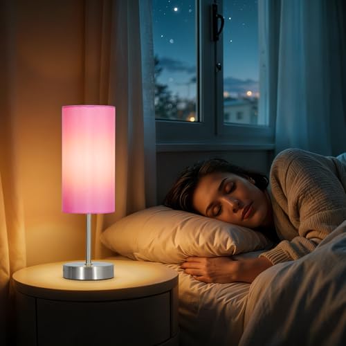 RISLG 2 Pack Small Table Lamps for Bedroom, Bedside Lamps for Nightstand with Wire Switch, Minimalist Modern Desk Lamps with Linen Fabric Shade for Kids Room Living Room Office Dorm, Bulb Included - color: 2 Pack Pink-Silver, size: 13in