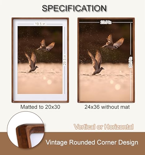 24x36 Picture Frame, USA-Sourced Natural Walnut Wood with Plexiglass, Handcrafted Rounded Corners, Matted to 20x30 Photo, Horizontal and Vertical Gallery Wall Poster Frame - color: Walnut, size: 24X36
