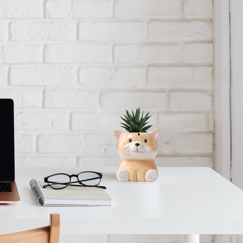 DIYOMR Cute Animals Planter, Mini Ceramic Cartoon Animal Shaped Succulent Flower Pot Indoor Air Plants Holder, Smooth Shiny Decorative Flower Cactus Planter - Plants Not Included (Groundhog) - color: Groundhog