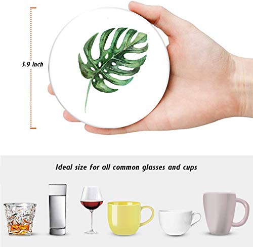 Britimes Coasters for Drinks, Set of 6, Ceramic Stone, Green Leaves - color: Green Leaves
