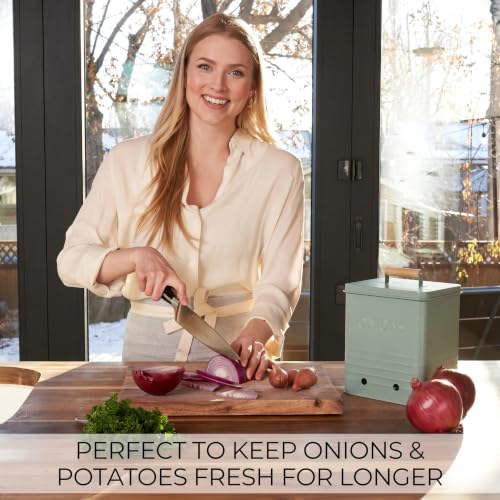 Beautiful Potato and Onion Storage Container Set - Food Safe Metal Bins - color: Sage