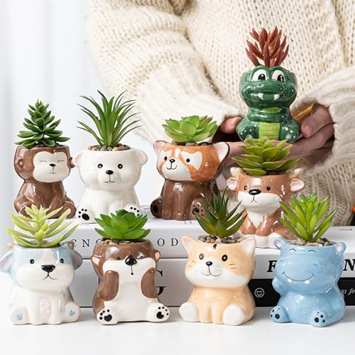 DIYOMR Cute Animals Planter, Mini Ceramic Cartoon Animal Shaped Succulent Flower Pot Indoor Air Plants Holder, Smooth Shiny Decorative Flower Cactus Planter - Plants Not Included (Penguin) - color: Penguin